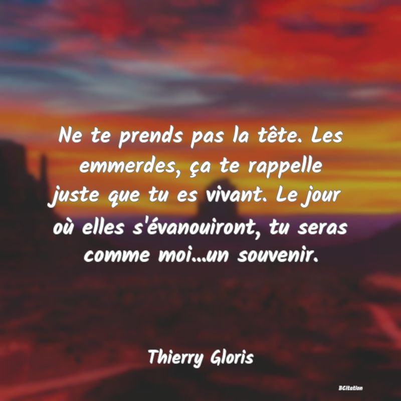 image de citation: Ne te prends pas la tête. Les emmerdes, ça te rappelle juste que tu es vivant. Le jour où elles s'évanouiront, tu seras comme moi...un souvenir.