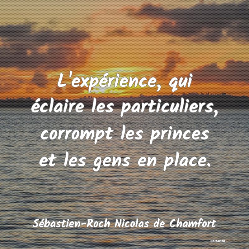 image de citation: L'expérience, qui éclaire les particuliers, corrompt les princes et les gens en place.