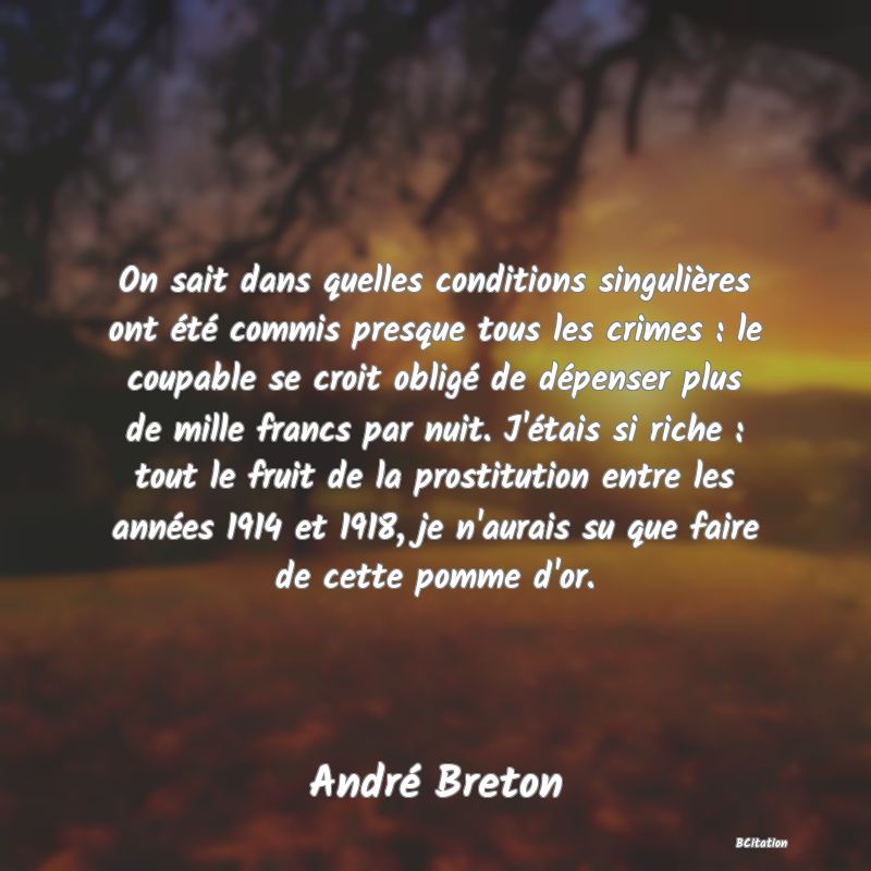 image de citation: On sait dans quelles conditions singulières ont été commis presque tous les crimes : le coupable se croit obligé de dépenser plus de mille francs par nuit. J'étais si riche : tout le fruit de la prostitution entre les années 1914 et 1918, je n'aurais su que faire de cette pomme d'or.