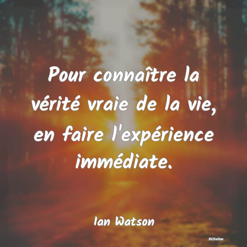 image de citation: Pour connaître la vérité vraie de la vie, en faire l'expérience immédiate.