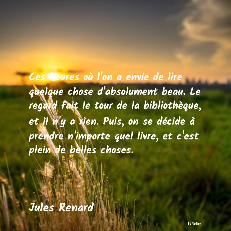 image de citation: Ces heures où l'on a envie de lire quelque chose d'absolument beau. Le regard fait le tour de la bibliothèque, et il n'y a rien. Puis, on se décide à prendre n'importe quel livre, et c'est plein de belles choses.