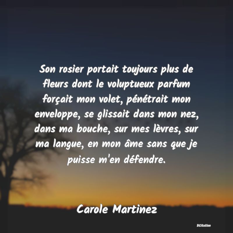 image de citation: Son rosier portait toujours plus de fleurs dont le voluptueux parfum forçait mon volet, pénétrait mon enveloppe, se glissait dans mon nez, dans ma bouche, sur mes lèvres, sur ma langue, en mon âme sans que je puisse m'en défendre.