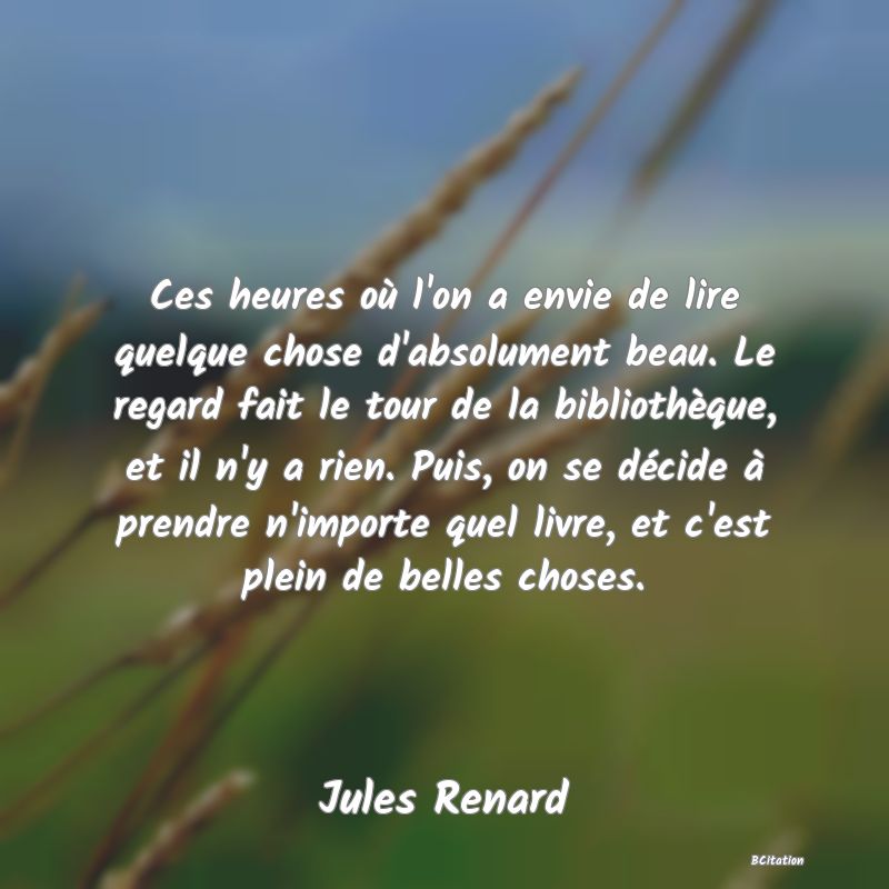 image de citation: Ces heures où l'on a envie de lire quelque chose d'absolument beau. Le regard fait le tour de la bibliothèque, et il n'y a rien. Puis, on se décide à prendre n'importe quel livre, et c'est plein de belles choses.