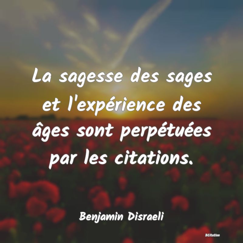 image de citation: La sagesse des sages et l'expérience des âges sont perpétuées par les citations.