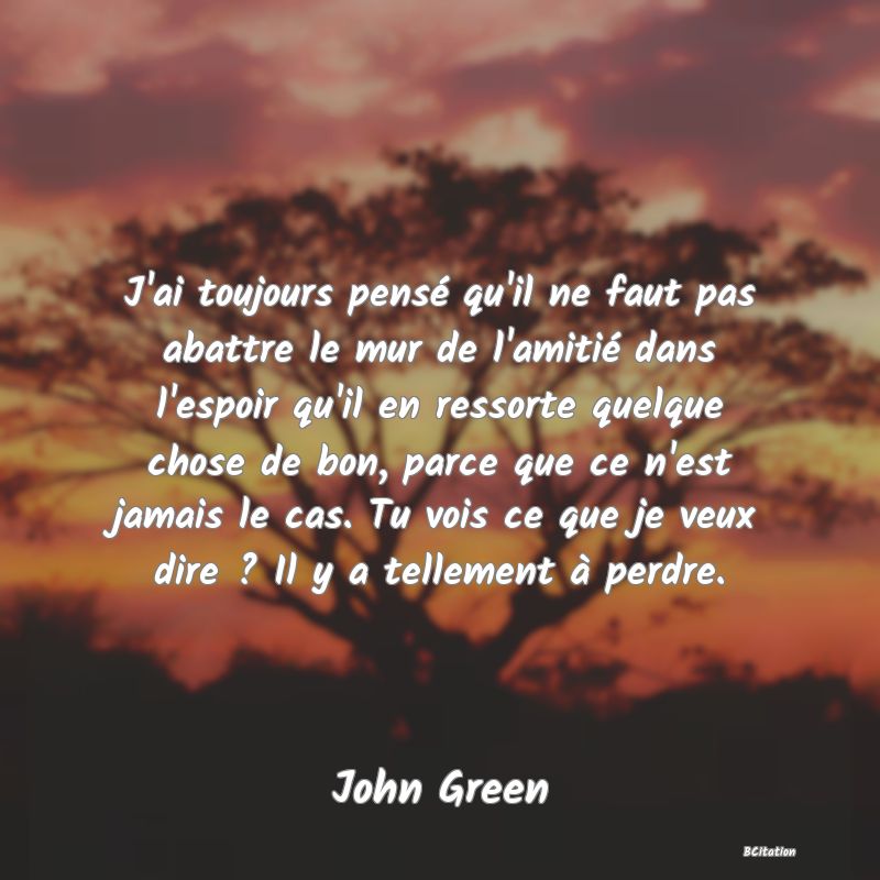 image de citation: J'ai toujours pensé qu'il ne faut pas abattre le mur de l'amitié dans l'espoir qu'il en ressorte quelque chose de bon, parce que ce n'est jamais le cas. Tu vois ce que je veux dire ? Il y a tellement à perdre.