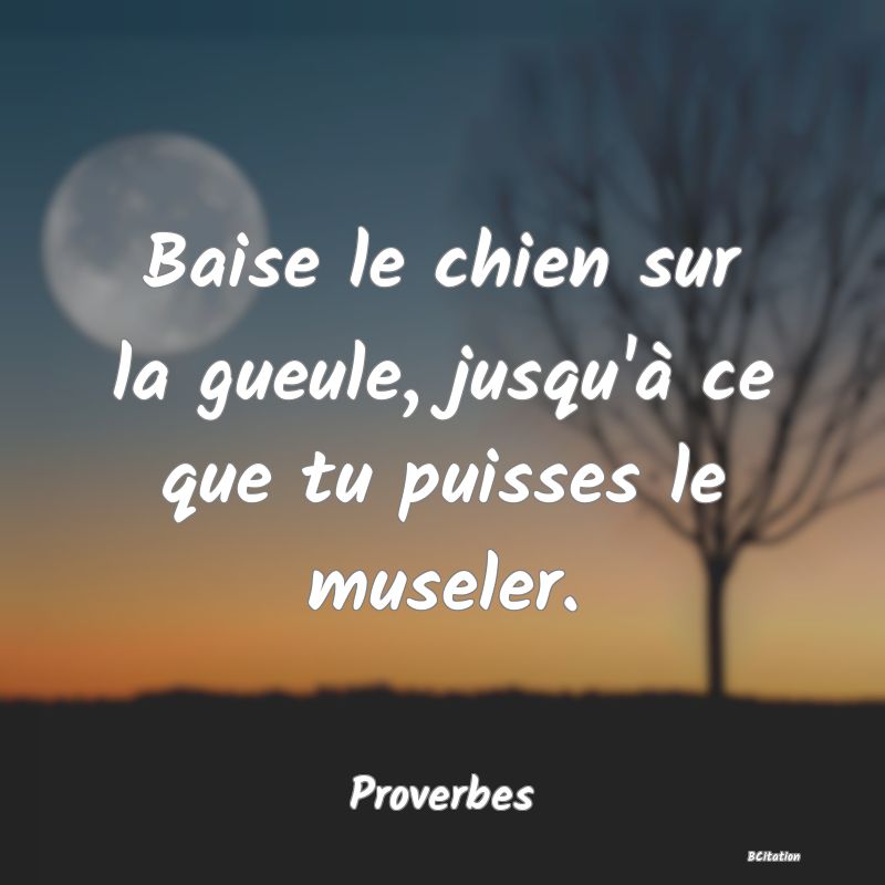 image de citation: Baise le chien sur la gueule, jusqu'à ce que tu puisses le museler.