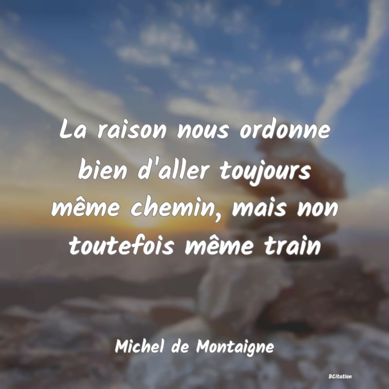 image de citation: La raison nous ordonne bien d'aller toujours même chemin, mais non toutefois même train