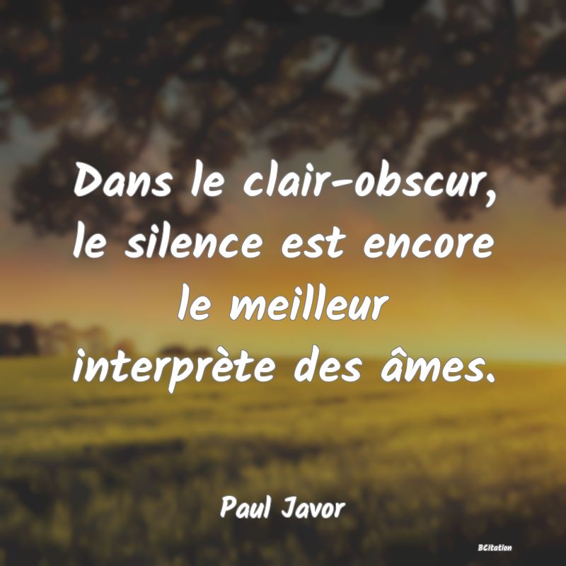 image de citation: Dans le clair-obscur, le silence est encore le meilleur interprète des âmes.