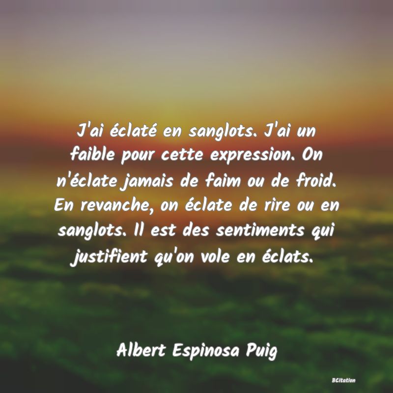 image de citation: J'ai éclaté en sanglots. J'ai un faible pour cette expression. On n'éclate jamais de faim ou de froid. En revanche, on éclate de rire ou en sanglots. Il est des sentiments qui justifient qu'on vole en éclats.