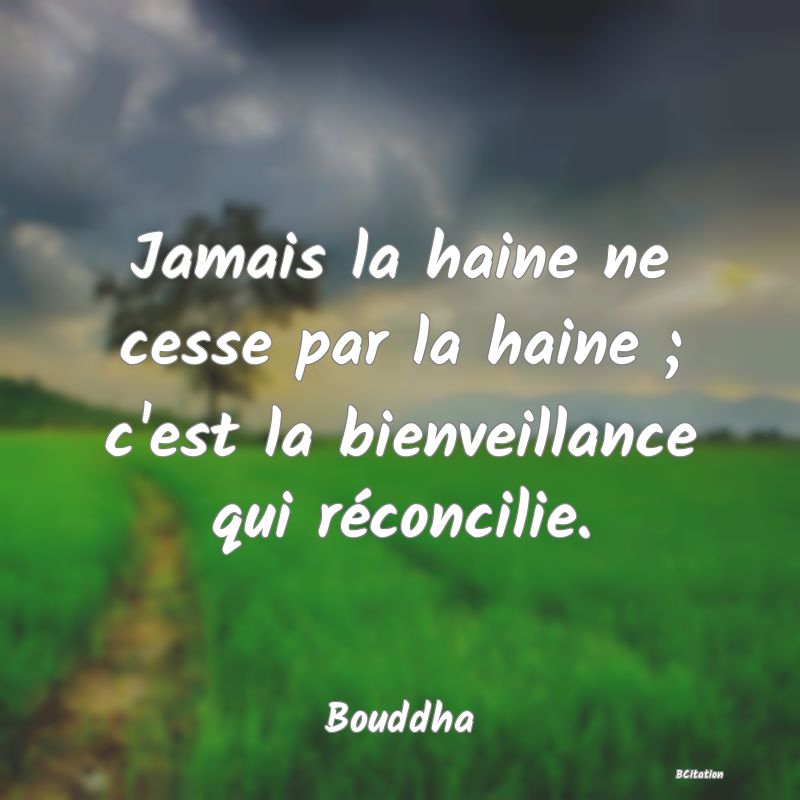 image de citation: Jamais la haine ne cesse par la haine ; c'est la bienveillance qui réconcilie.