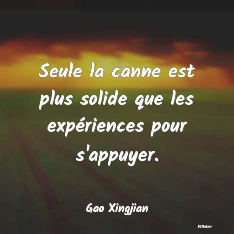 Belle Citation - Seule la canne est plus solide que les expériences pour s'appuyer. - Gao Xingjian