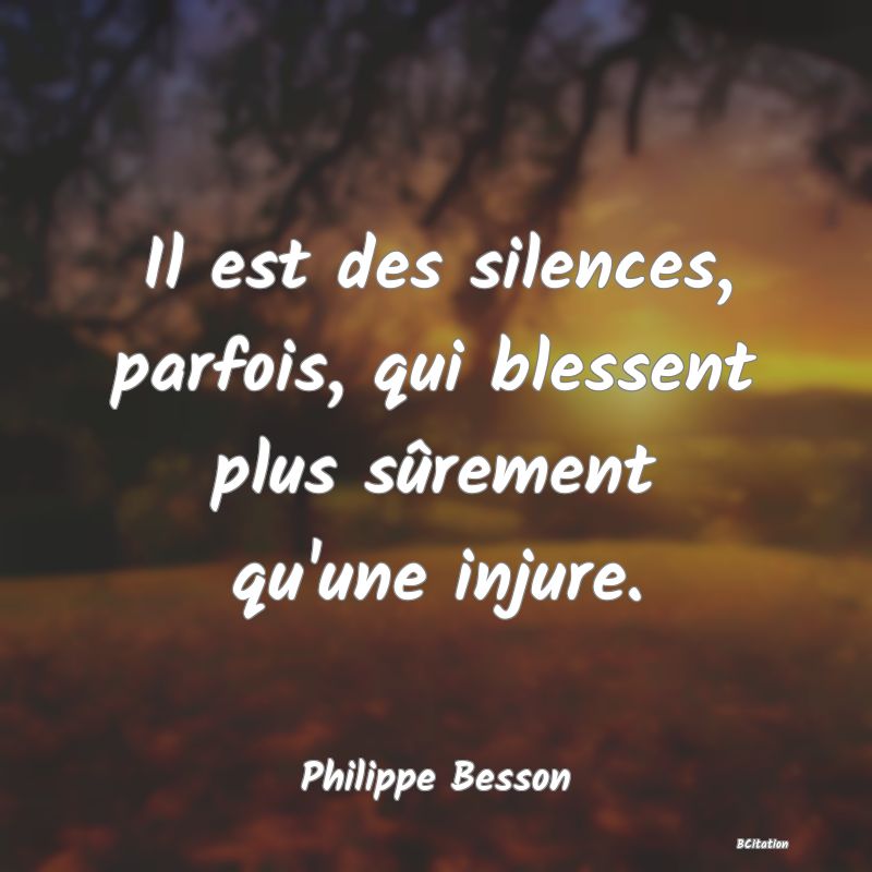 image de citation: Il est des silences, parfois, qui blessent plus sûrement qu'une injure.