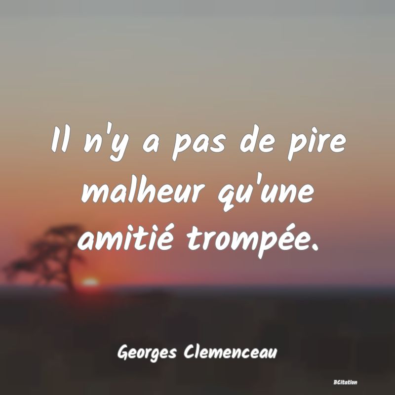 image de citation: Il n'y a pas de pire malheur qu'une amitié trompée.