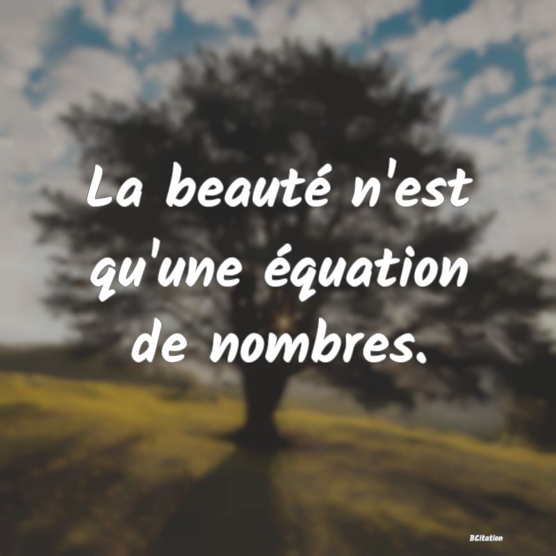 Belle Citation - La beauté n'est qu'une équation de nombres. - 