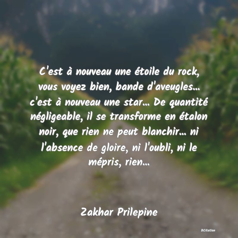 image de citation: C'est à nouveau une étoile du rock, vous voyez bien, bande d'aveugles... c'est à nouveau une star... De quantité négligeable, il se transforme en étalon noir, que rien ne peut blanchir... ni l'absence de gloire, ni l'oubli, ni le mépris, rien...