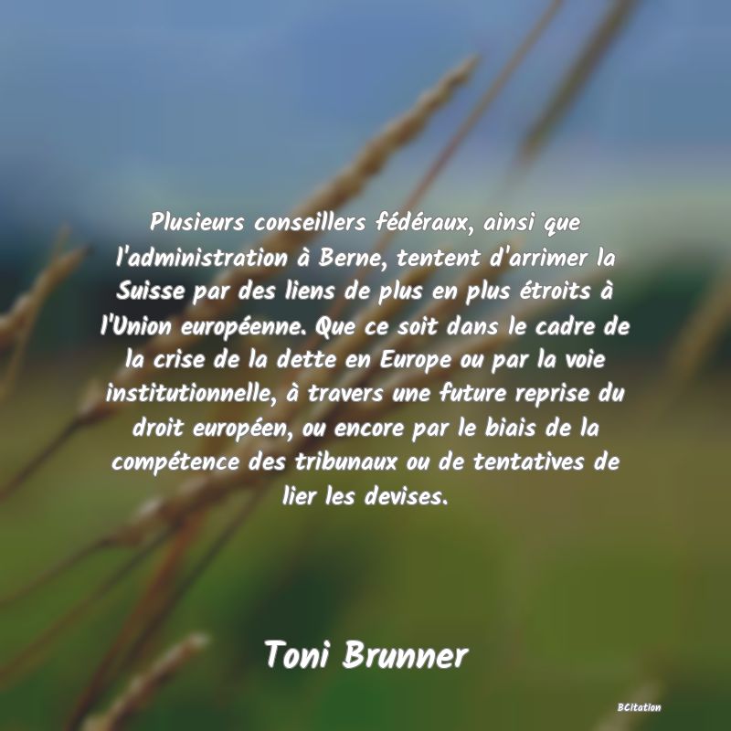 image de citation: Plusieurs conseillers fédéraux, ainsi que l'administration à Berne, tentent d'arrimer la Suisse par des liens de plus en plus étroits à l'Union européenne. Que ce soit dans le cadre de la crise de la dette en Europe ou par la voie institutionnelle, à travers une future reprise du droit européen, ou encore par le biais de la compétence des tribunaux ou de tentatives de lier les devises.