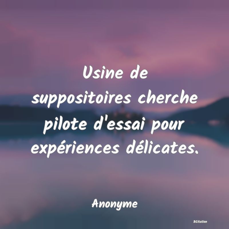 image de citation: Usine de suppositoires cherche pilote d'essai pour expériences délicates.