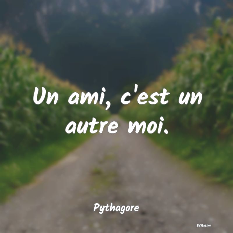 image de citation: Un ami, c'est un autre moi.