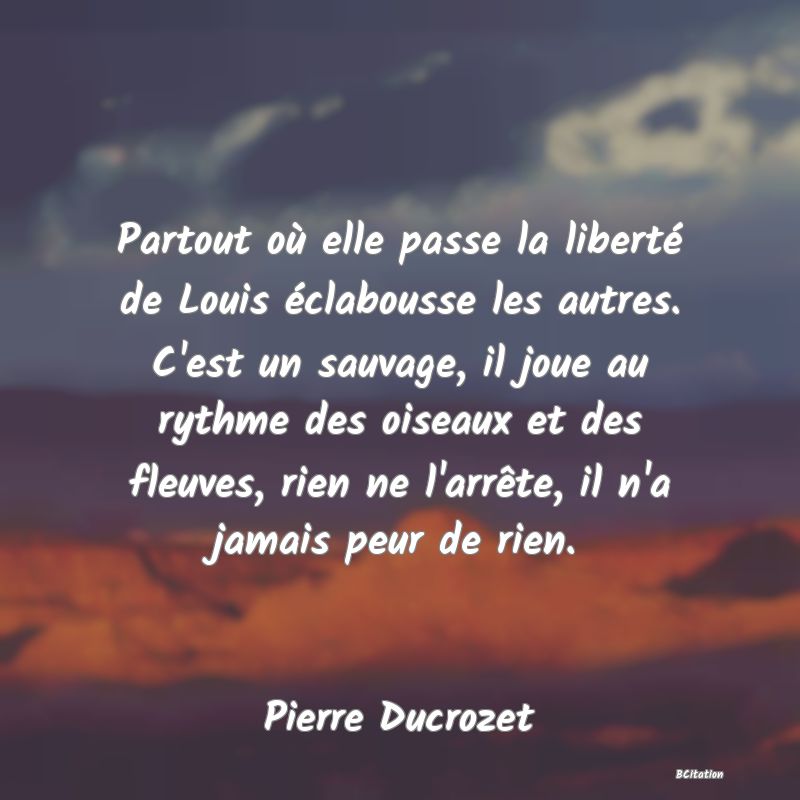 image de citation: Partout où elle passe la liberté de Louis éclabousse les autres. C'est un sauvage, il joue au rythme des oiseaux et des fleuves, rien ne l'arrête, il n'a jamais peur de rien.