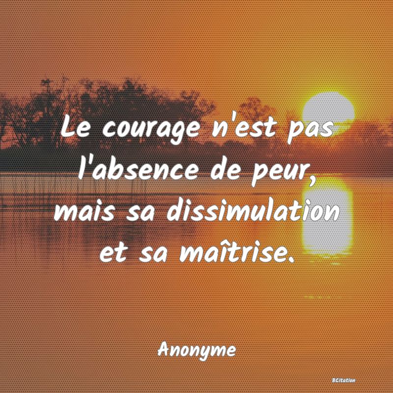 image de citation: Le courage n'est pas l'absence de peur, mais sa dissimulation et sa maîtrise.