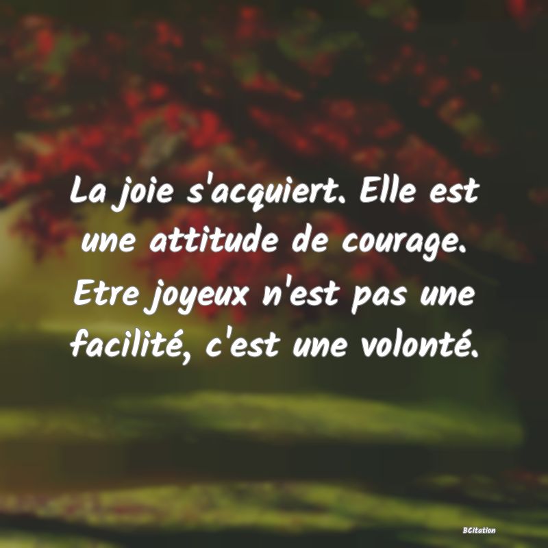 image de citation: La joie s'acquiert. Elle est une attitude de courage. Etre joyeux n'est pas une facilité, c'est une volonté.