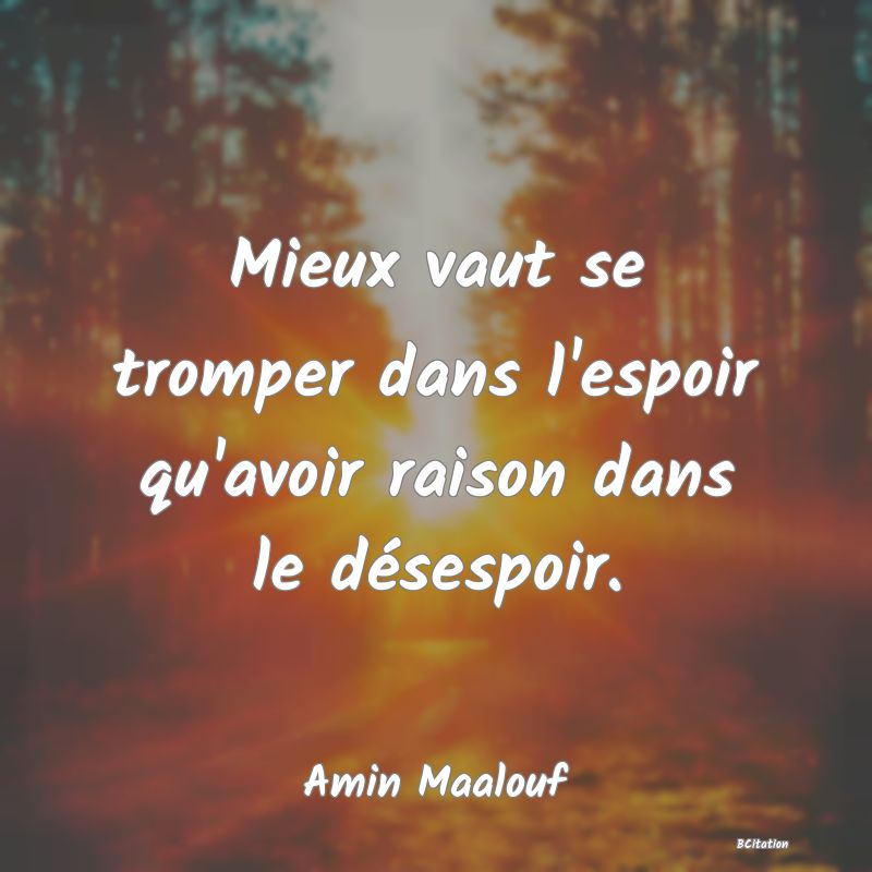 image de citation: Mieux vaut se tromper dans l'espoir qu'avoir raison dans le désespoir.