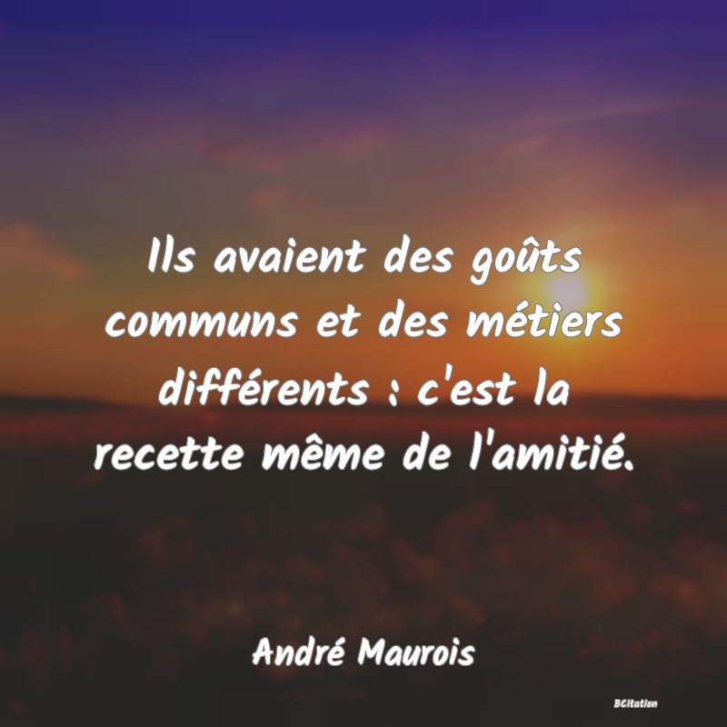 image de citation: Ils avaient des goûts communs et des métiers différents : c'est la recette même de l'amitié.