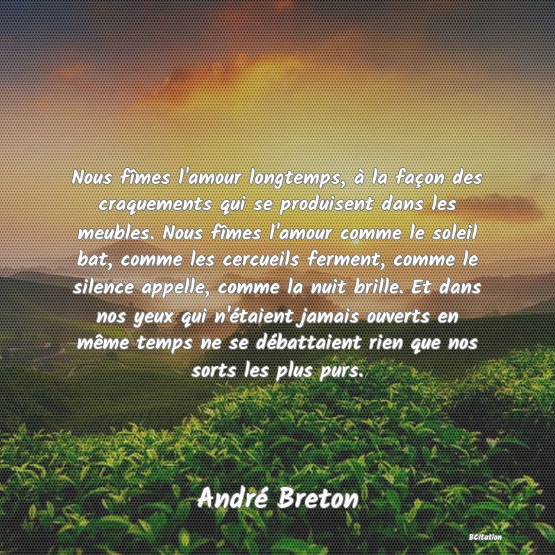 image de citation: Nous fîmes l'amour longtemps, à la façon des craquements qui se produisent dans les meubles. Nous fîmes l'amour comme le soleil bat, comme les cercueils ferment, comme le silence appelle, comme la nuit brille. Et dans nos yeux qui n'étaient jamais ouverts en même temps ne se débattaient rien que nos sorts les plus purs.