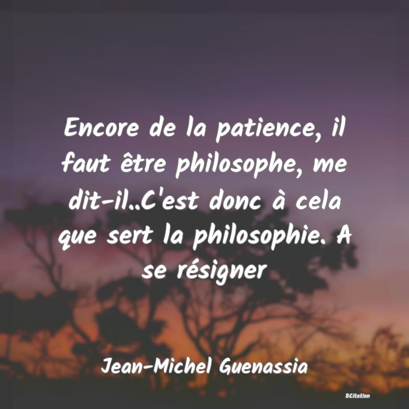 image de citation: Encore de la patience, il faut être philosophe, me dit-il..C'est donc à cela que sert la philosophie. A se résigner