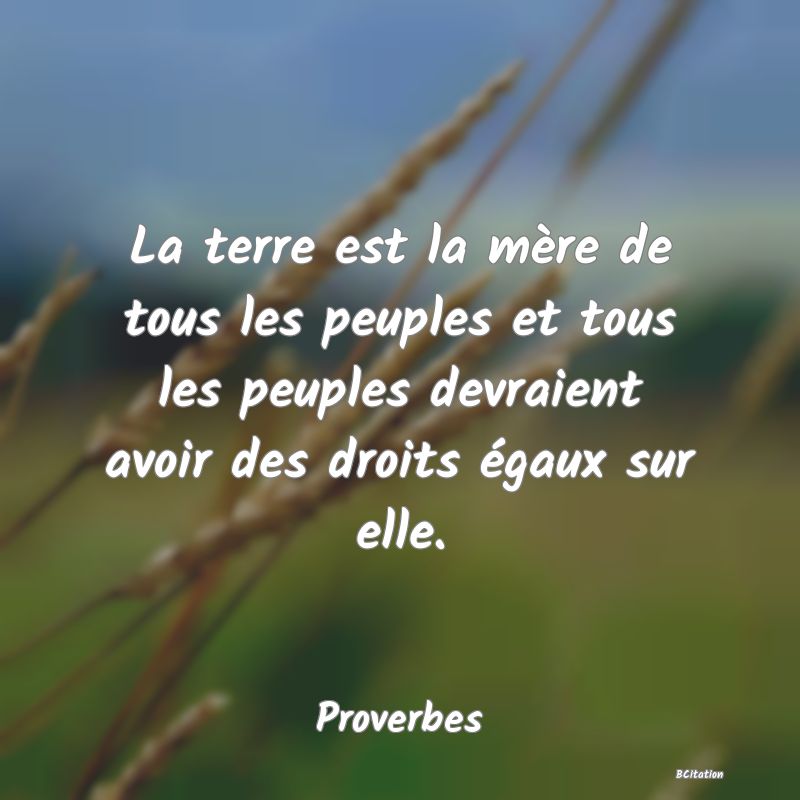Belle Citation - La terre est la mère de tous les peuples et tous les peuples devraient avoir des droits égaux sur elle. - Proverbes