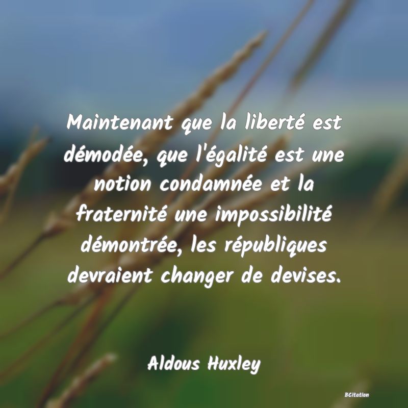 image de citation: Maintenant que la liberté est démodée, que l'égalité est une notion condamnée et la fraternité une impossibilité démontrée, les républiques devraient changer de devises.