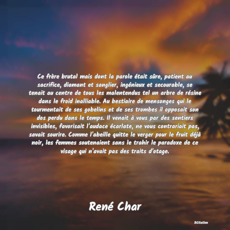 Belle Citation - Ce frère brutal mais dont la parole était sûre, patient au sacrifice, diamant et sanglier, ingénieux et secourable, se tenait au centre de tous les malentendus tel un arbre de résine dans le froid inalliable. Au bestiaire de mensonges qui le tourmentait de ses gobelins et de ses trombes il opposait son dos perdu dans le temps. Il venait à vous par des sentiers invisibles, favorisait l'audace écarlate, ne vous contrariait pas, savait sourire. Comme l'abeille quitte le verger pour le fruit déjà noir, les femmes soutenaient sans le trahir le paradoxe de ce visage qui n'avait pas des traits d'otage. - René Char