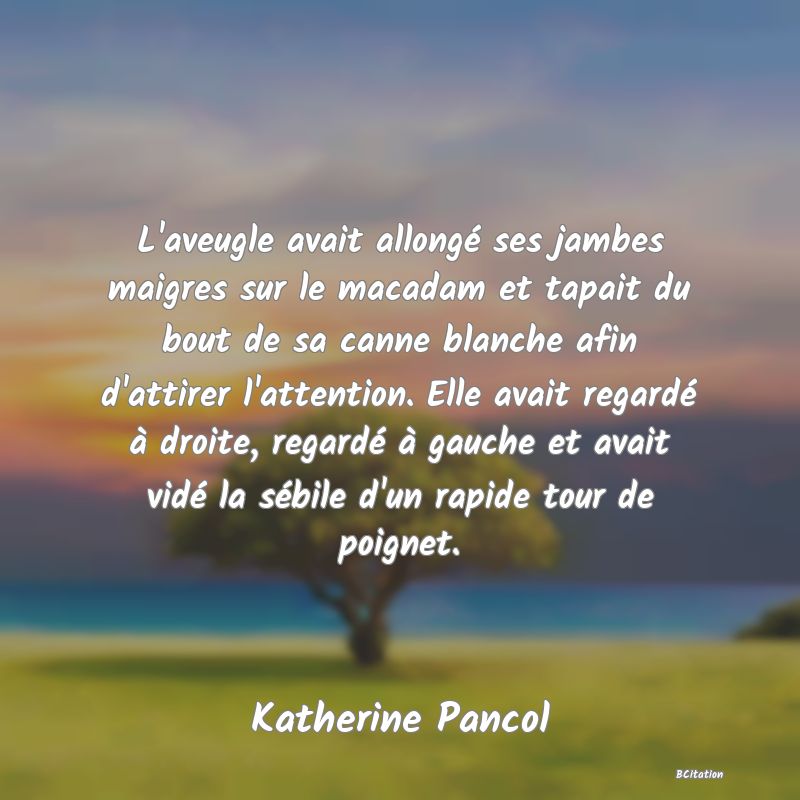 image de citation: L'aveugle avait allongé ses jambes maigres sur le macadam et tapait du bout de sa canne blanche afin d'attirer l'attention. Elle avait regardé à droite, regardé à gauche et avait vidé la sébile d'un rapide tour de poignet.