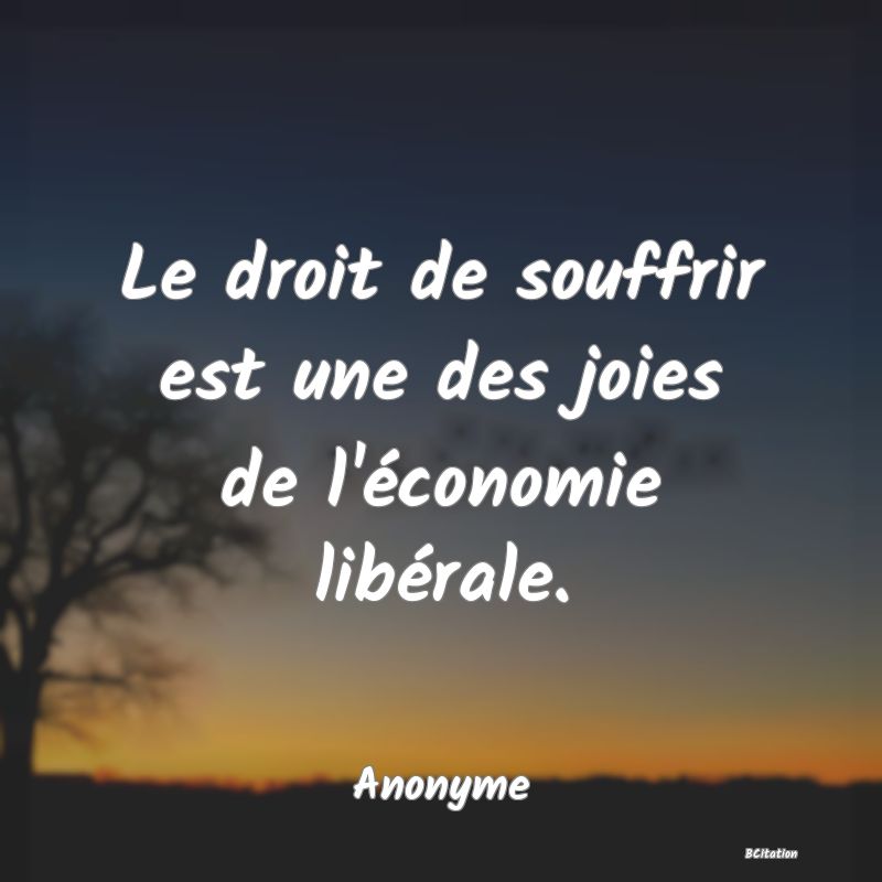 image de citation: Le droit de souffrir est une des joies de l'économie libérale.