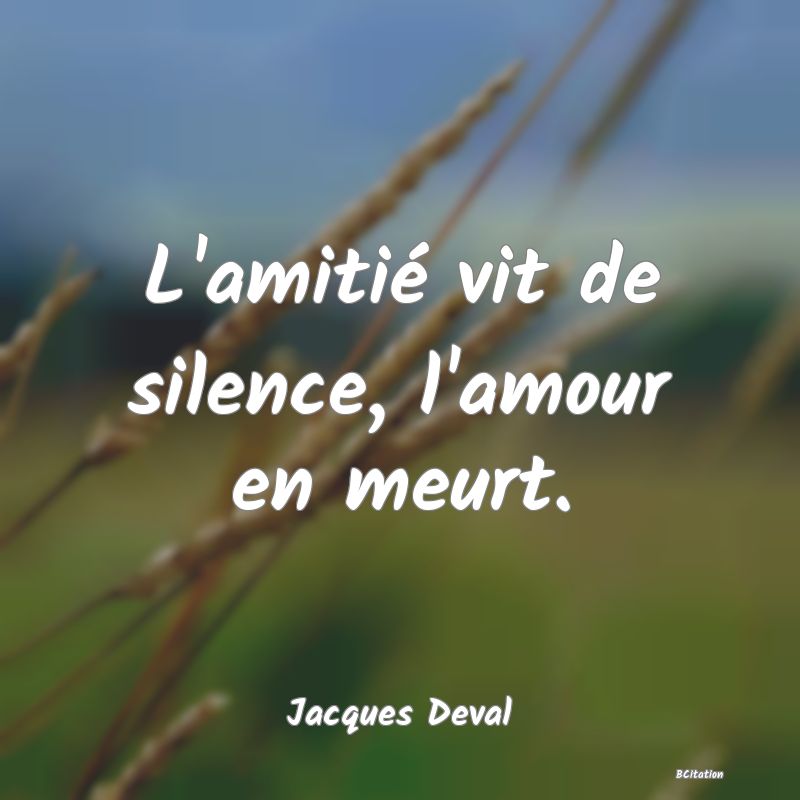 image de citation: L'amitié vit de silence, l'amour en meurt.