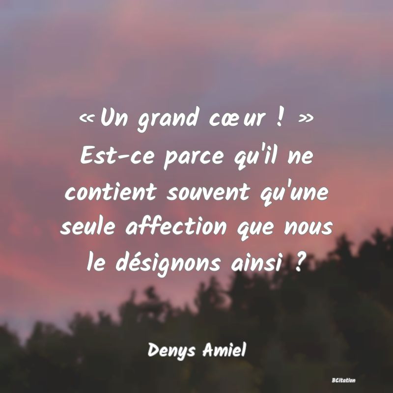 image de citation: « Un grand cœur ! » Est-ce parce qu'il ne contient souvent qu'une seule affection que nous le désignons ainsi ?