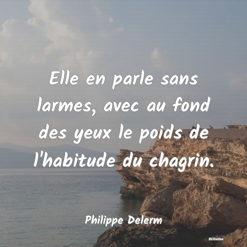 Belle Citation - Elle en parle sans larmes, avec au fond des yeux le poids de l'habitude du chagrin. - Philippe Delerm