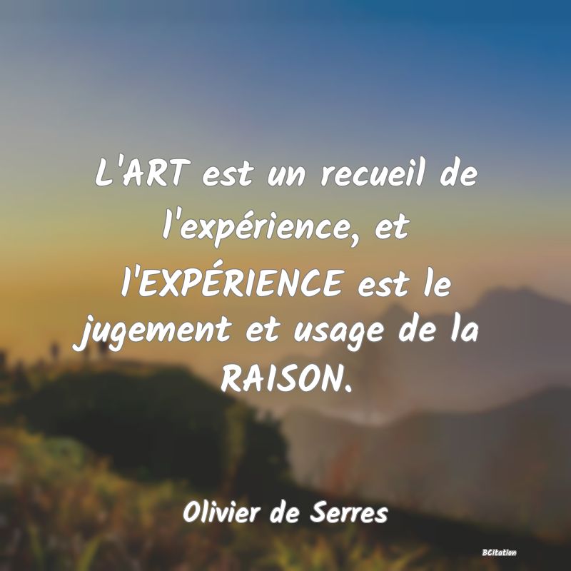 image de citation: L'ART est un recueil de l'expérience, et l'EXPÉRIENCE est le jugement et usage de la RAISON.