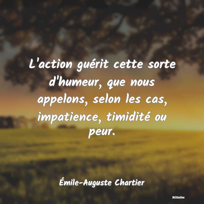 image de citation: L'action guérit cette sorte d'humeur, que nous appelons, selon les cas, impatience, timidité ou peur.