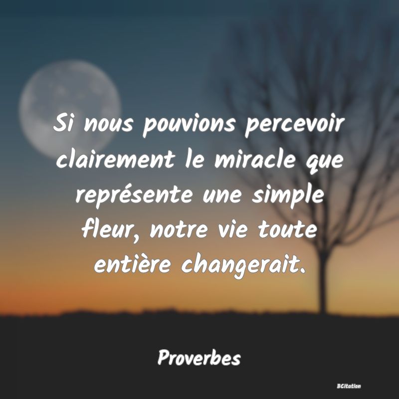 image de citation: Si nous pouvions percevoir clairement le miracle que représente une simple fleur, notre vie toute entière changerait.