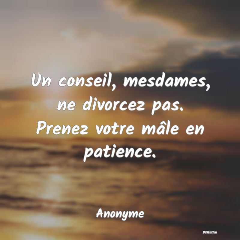 image de citation: Un conseil, mesdames, ne divorcez pas. Prenez votre mâle en patience.