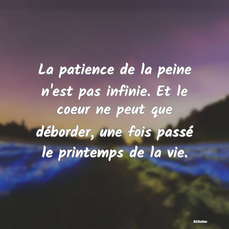 image de citation: La patience de la peine n'est pas infinie. Et le coeur ne peut que déborder, une fois passé le printemps de la vie.