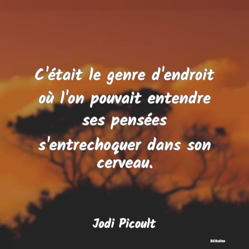 image de citation: C'était le genre d'endroit où l'on pouvait entendre ses pensées s'entrechoquer dans son cerveau.