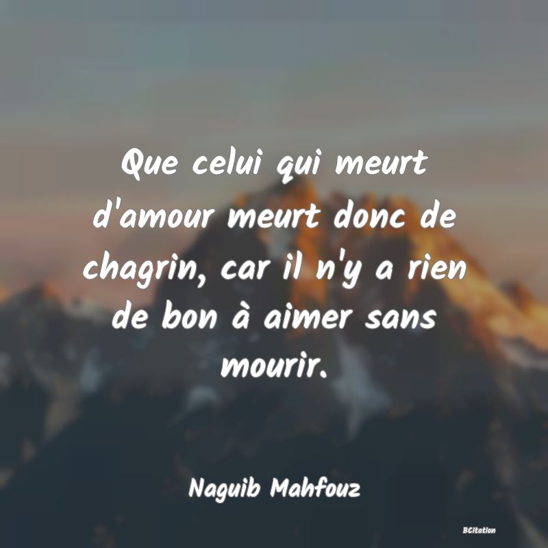 image de citation: Que celui qui meurt d'amour meurt donc de chagrin, car il n'y a rien de bon à aimer sans mourir.