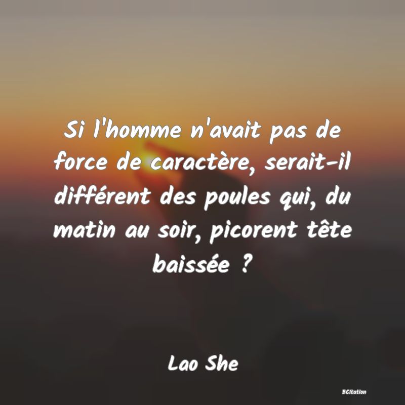 image de citation: Si l'homme n'avait pas de force de caractère, serait-il différent des poules qui, du matin au soir, picorent tête baissée ?