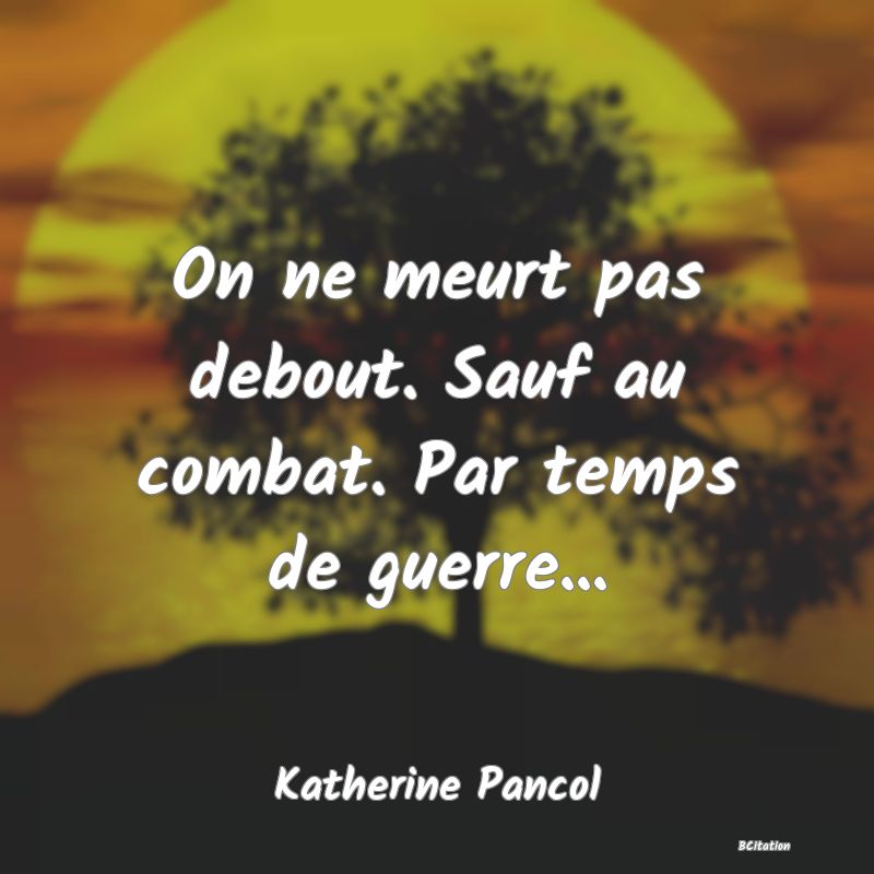 image de citation: On ne meurt pas debout. Sauf au combat. Par temps de guerre...