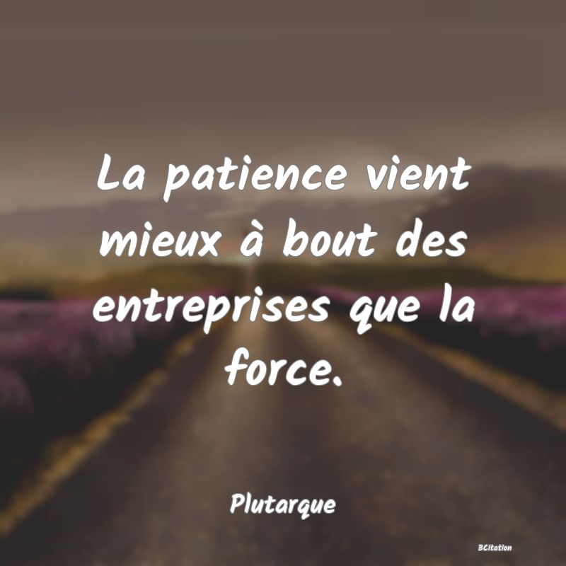 image de citation: La patience vient mieux à bout des entreprises que la force.