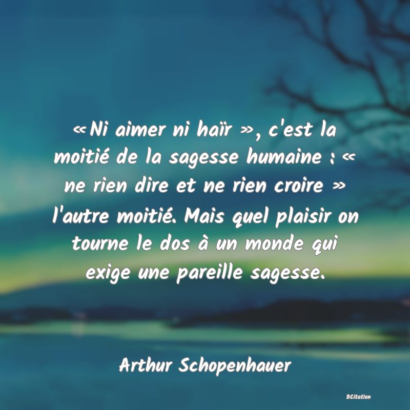 image de citation: « Ni aimer ni haïr », c'est la moitié de la sagesse humaine : « ne rien dire et ne rien croire » l'autre moitié. Mais quel plaisir on tourne le dos à un monde qui exige une pareille sagesse.