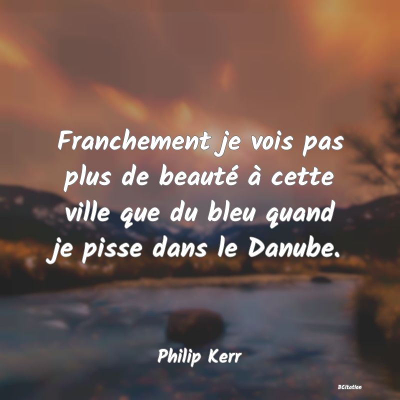 image de citation: Franchement je vois pas plus de beauté à cette ville que du bleu quand je pisse dans le Danube.