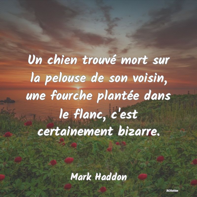 image de citation: Un chien trouvé mort sur la pelouse de son voisin, une fourche plantée dans le flanc, c'est certainement bizarre.